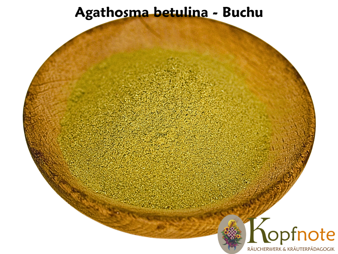 Buchu - Agathosma betulina