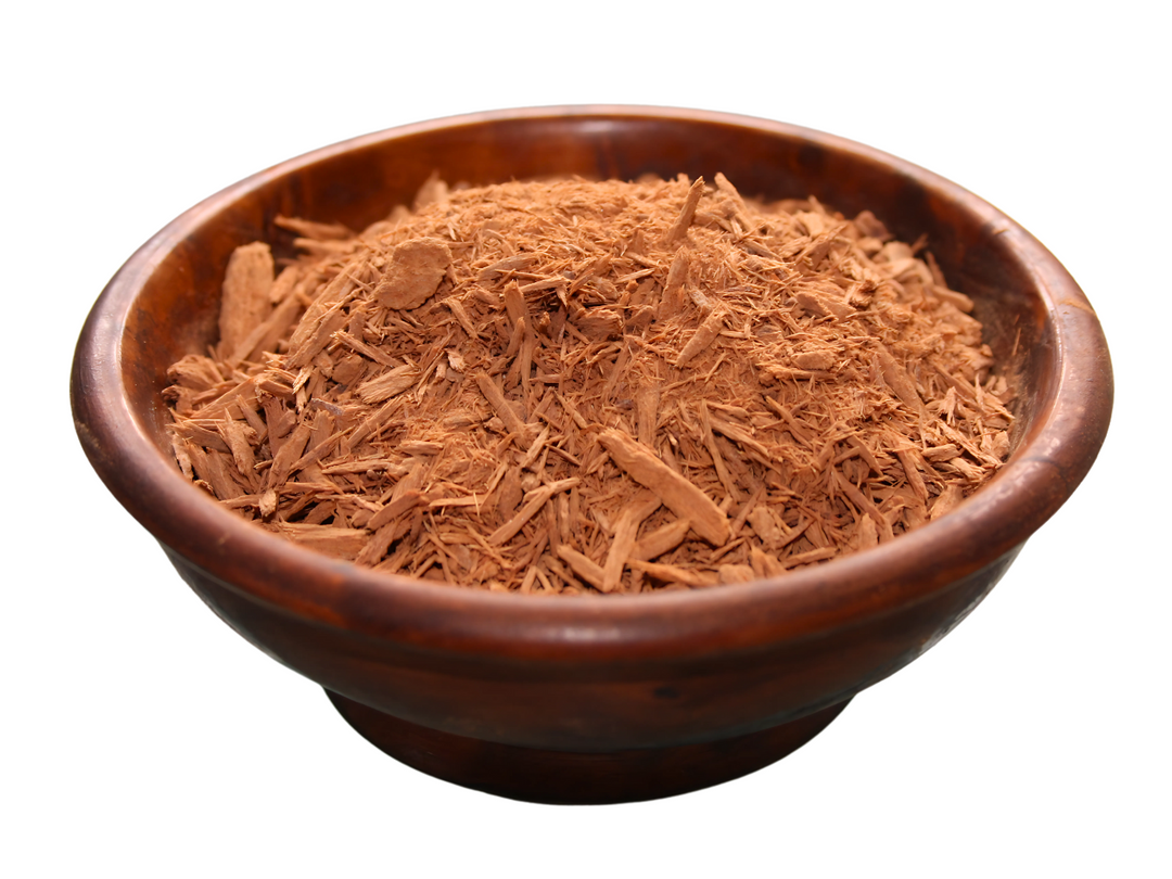 Chinarindenbaum - Cinchona officinalis