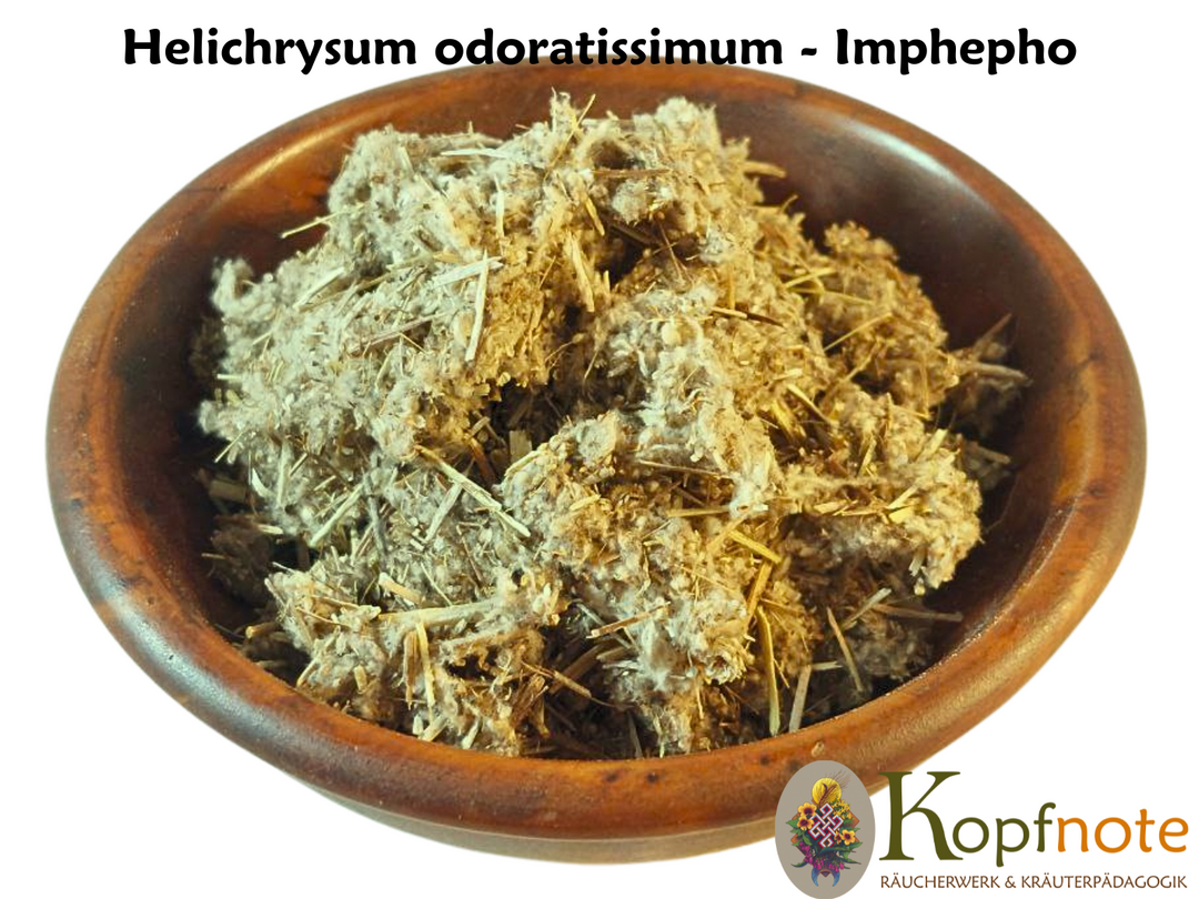 Imphepho - Helichrysum odoratissimum