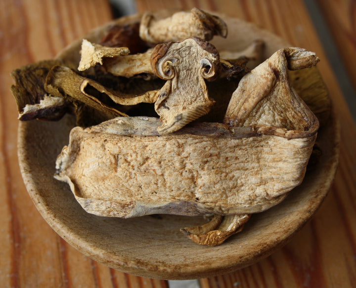 Steinpilz - Boletus edulis