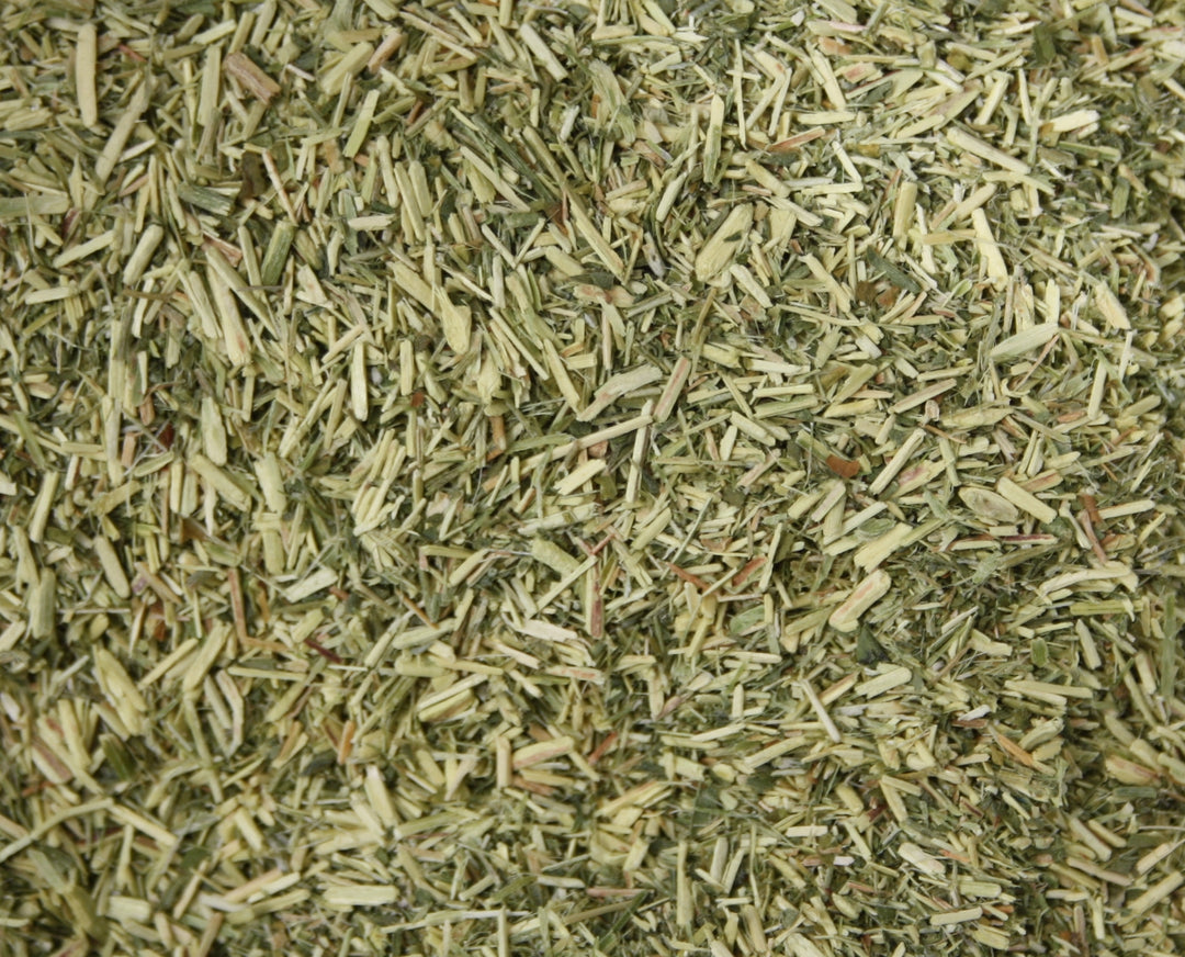 Ballonerbse - Sutherlandia frutescens