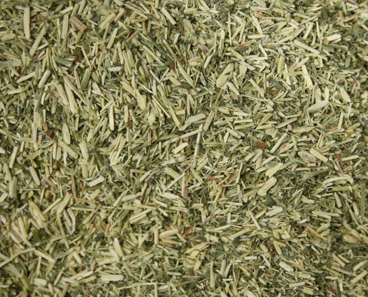 Ballonerbse - Sutherlandia frutescens