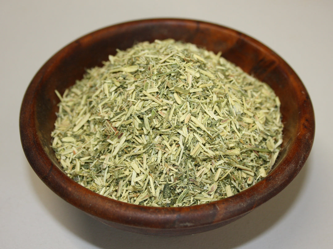 Ballonerbse - Sutherlandia frutescens