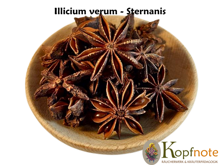 Sternanis - Illicium verum