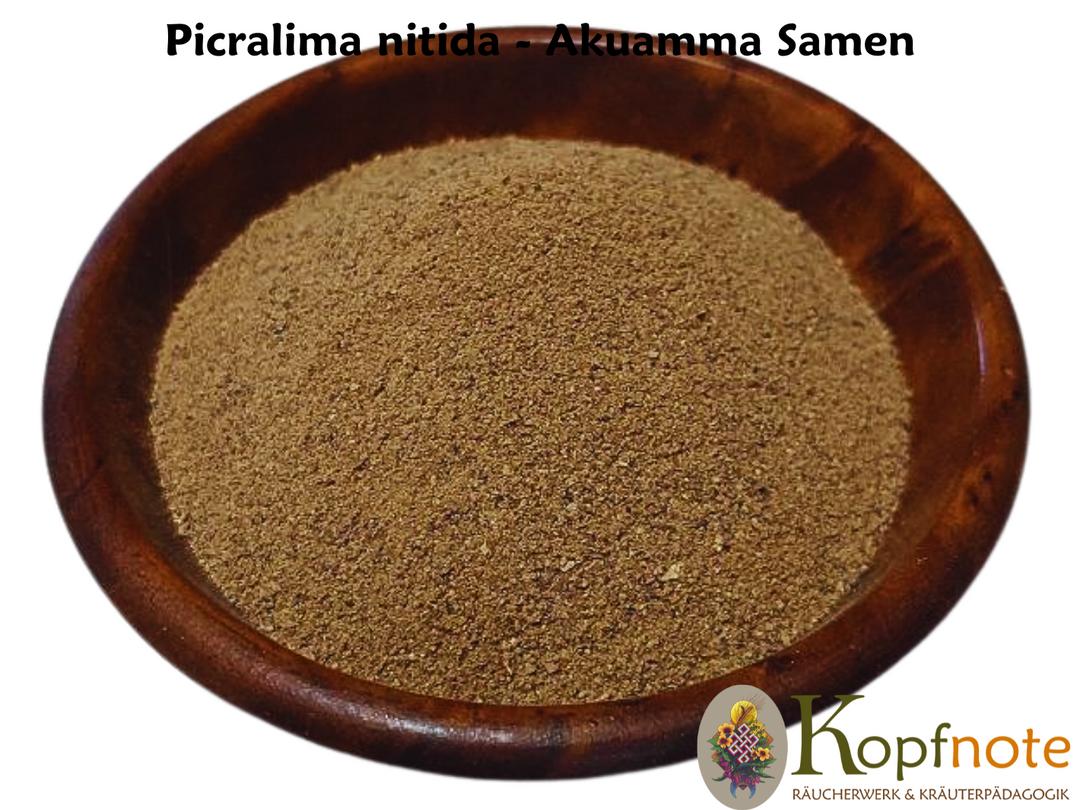 Akuamma - Picralima nitida