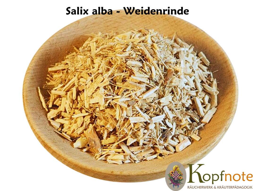 Weidenrinde - Salix alba