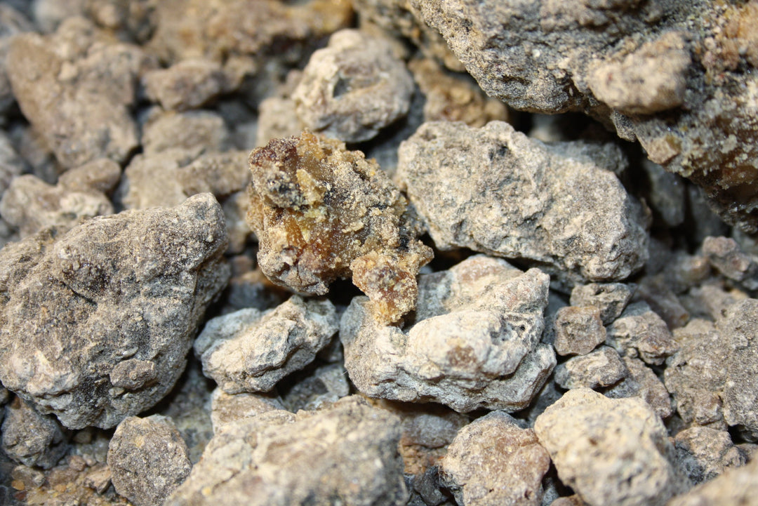 Zirbenharz sibirisch