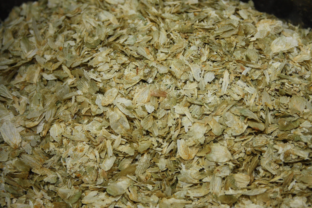 Hopfenblüten - Humulus lupulus
