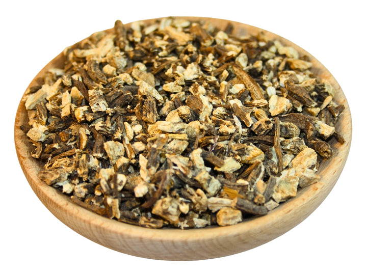 Angelikawurzel - Angelica archangelica