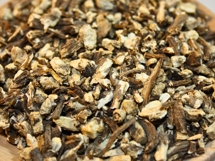 Angelikawurzel - Angelica archangelica