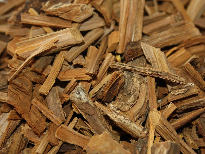 Banisteriopsis caapi - Gelbe Liane