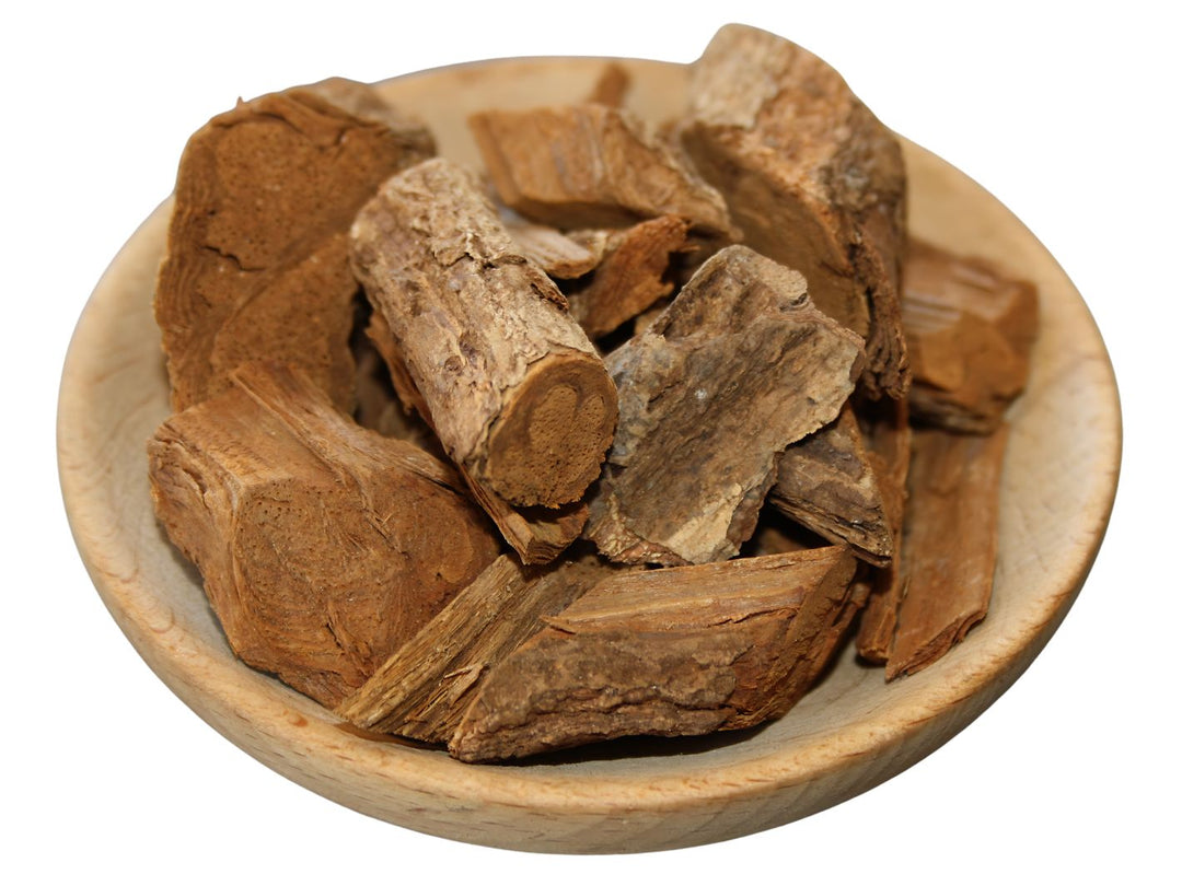 Banisteriopsis caapi - Gelbe Liane