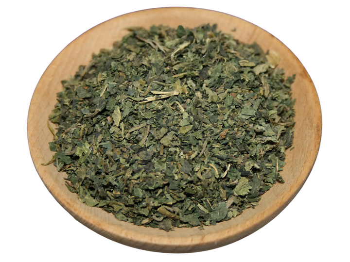 Brennnessel - Urtica dioica