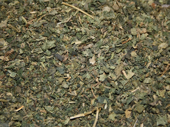 Brennnessel - Urtica dioica
