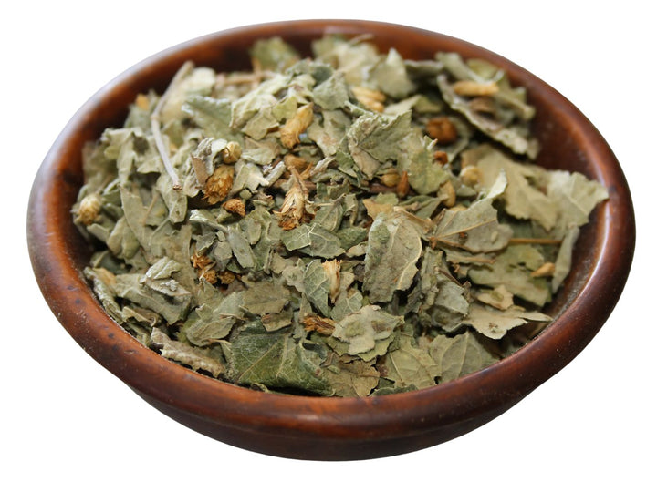Calea Traumkraut