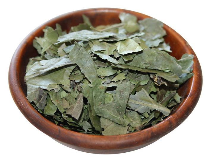 Chacruna - Psychotria viridis