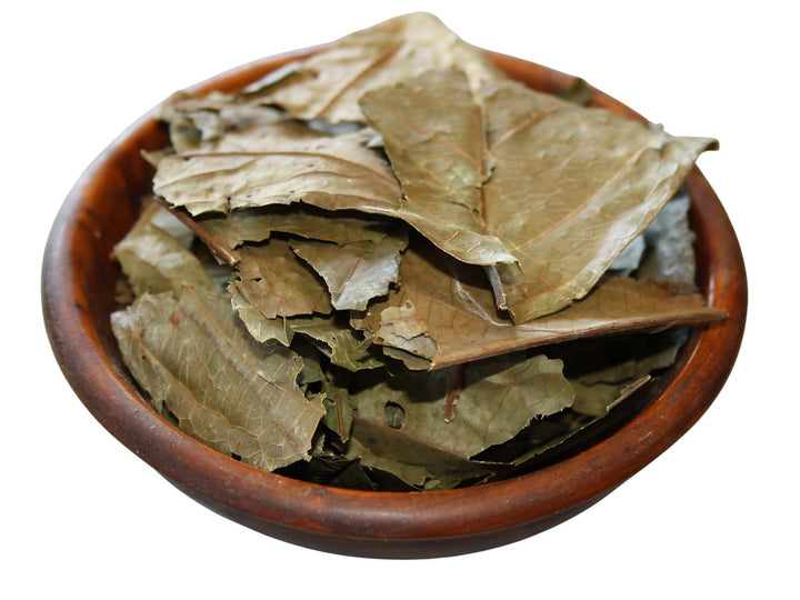 Chaliponga - Diplopterys cabrerana