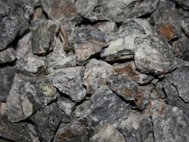 Copal negro - Protium paniculatum