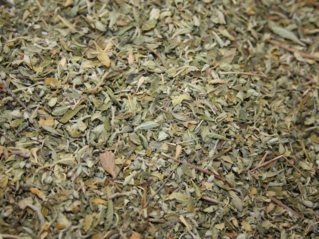 Damiana - Turnera diffusa
