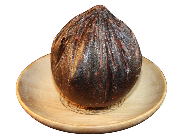 Drachenblut Kugel 360g - Dracaena ellyptica