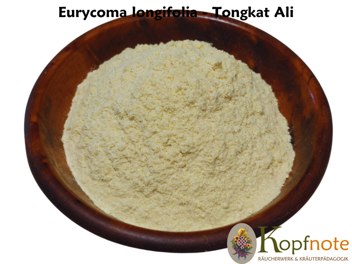 Tongkat Ali - Eurycoma longifolia