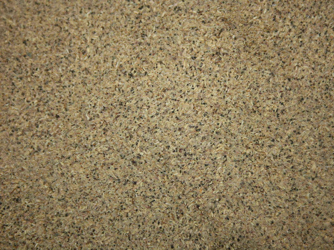 Fadogia agrestis - Black Aphrodisiac