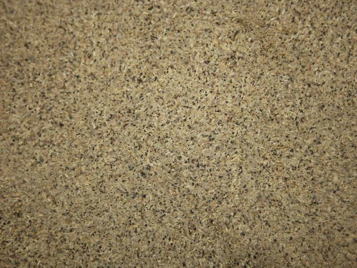Fadogia agrestis - Black Aphrodisiac