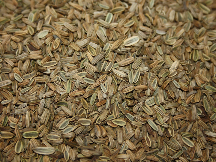 Fenchel - Foeniculum vulgare