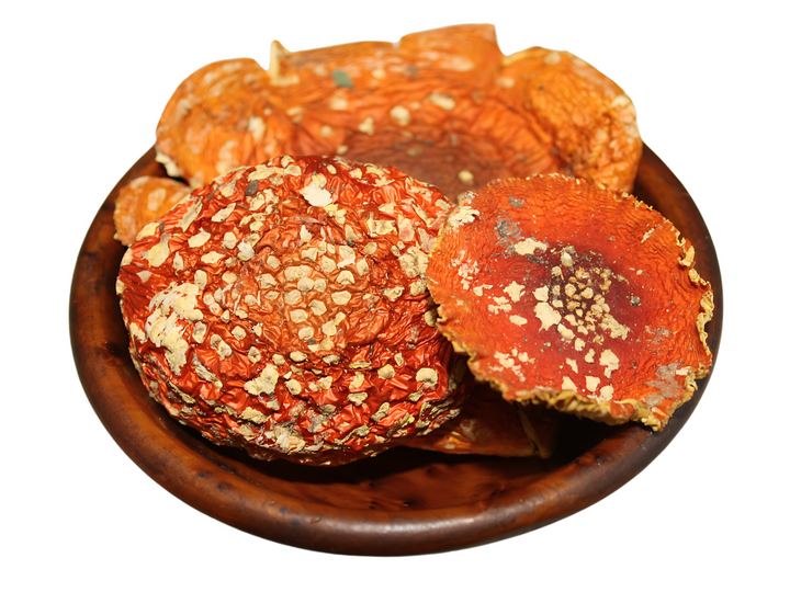 Fliegenpilz - Amanita muscaria