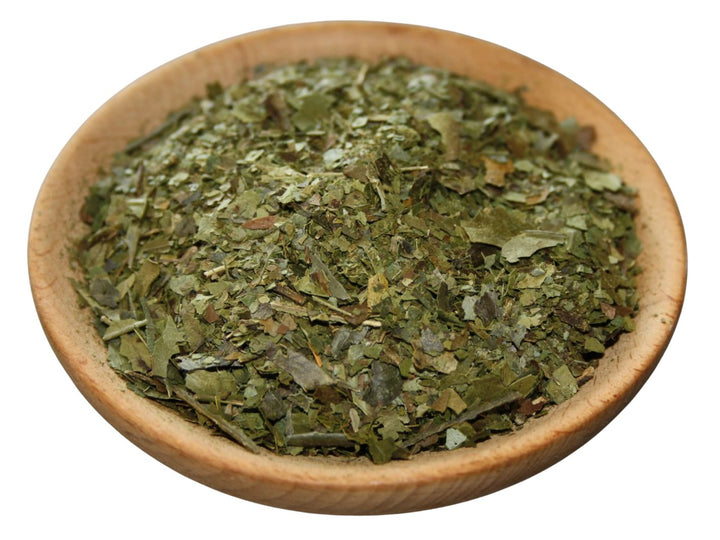 Guayusa - Ilex guayusa