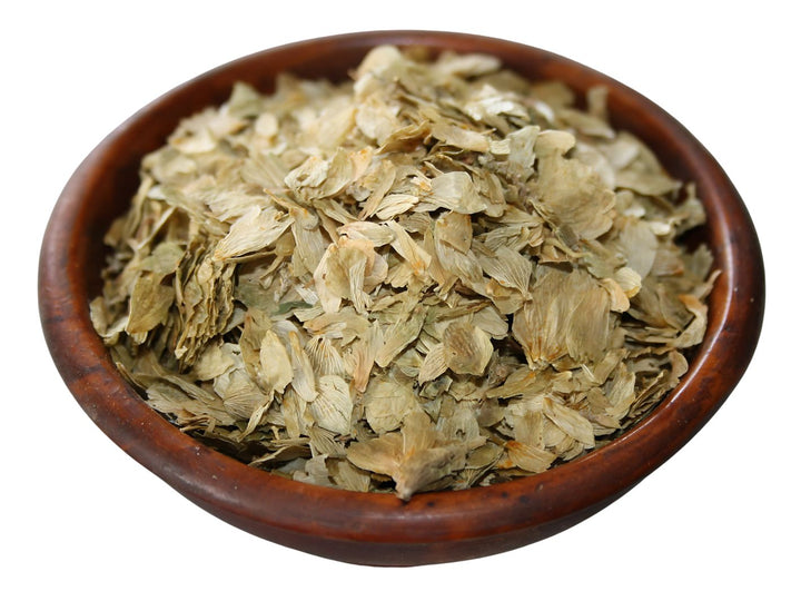 Hopfenblüten - Humulus lupulus
