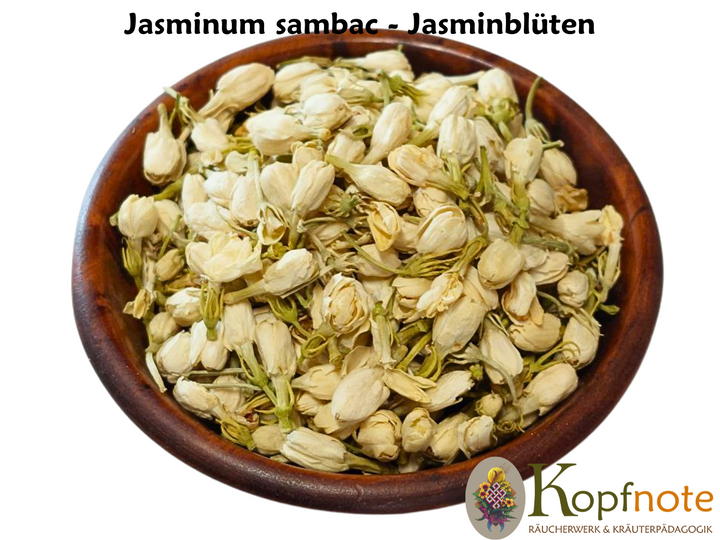 Jasminblüten - Jasminum sambac