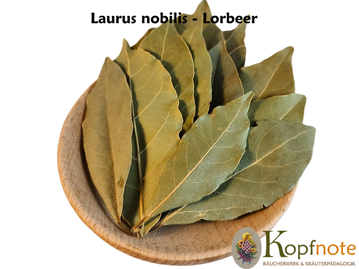 Lorbeerblätter - Laurus nobilis