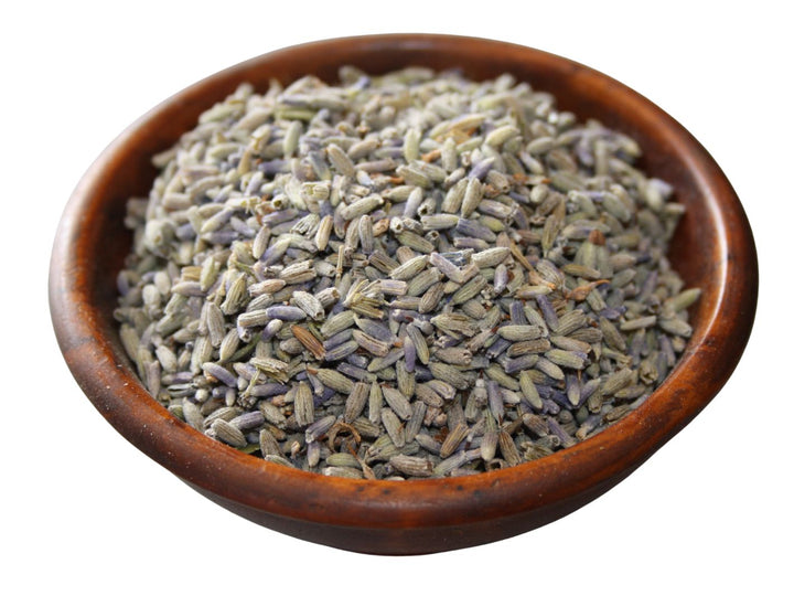 Lavendel - Lavendula angustifolia