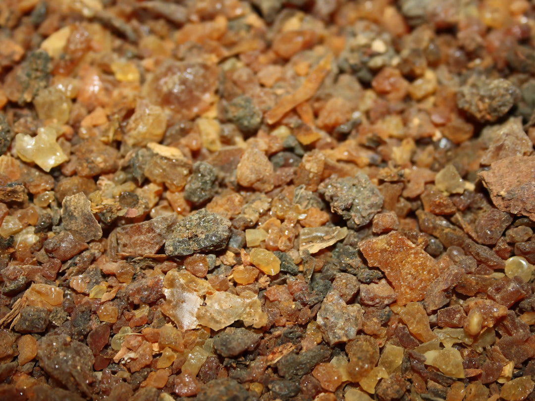 Myrrhe Kenia - Commiphora africanum