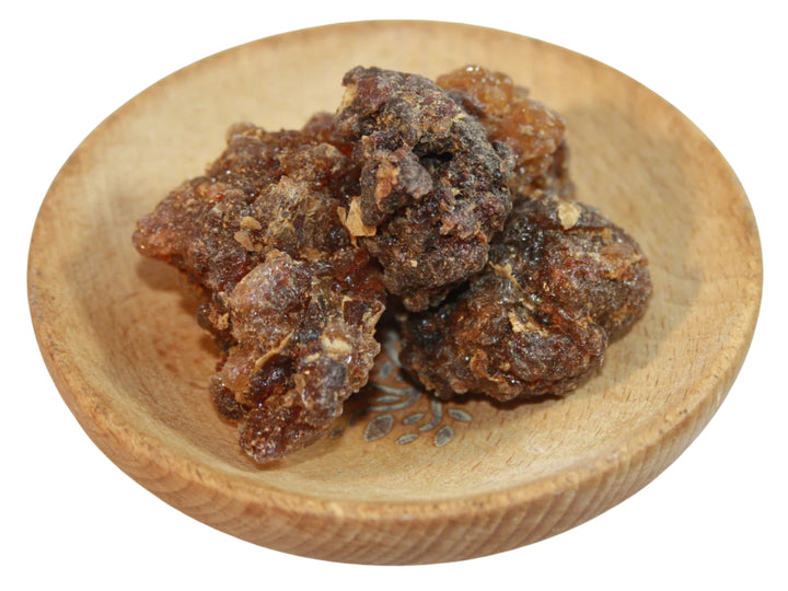 Myrrhe Oman - Commiphora myrrha