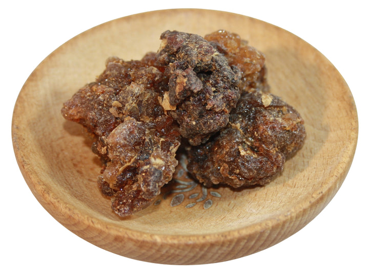 Myrrhe Jemen - Commiphora myrrha