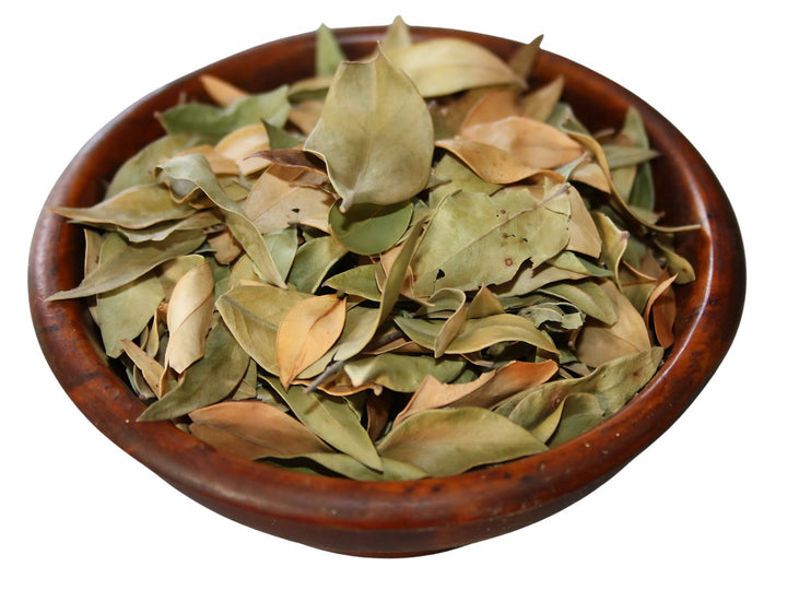 Myrte - Myrtus communis