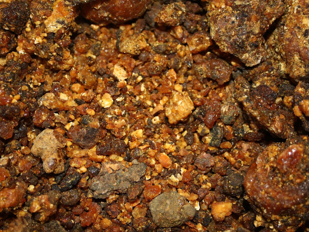 Opoponax - Commiphora erythraea