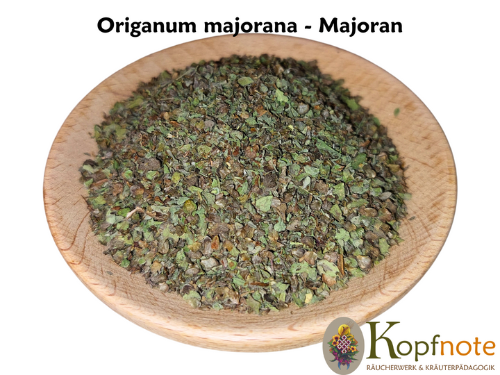 Majoran - Origanum majorana