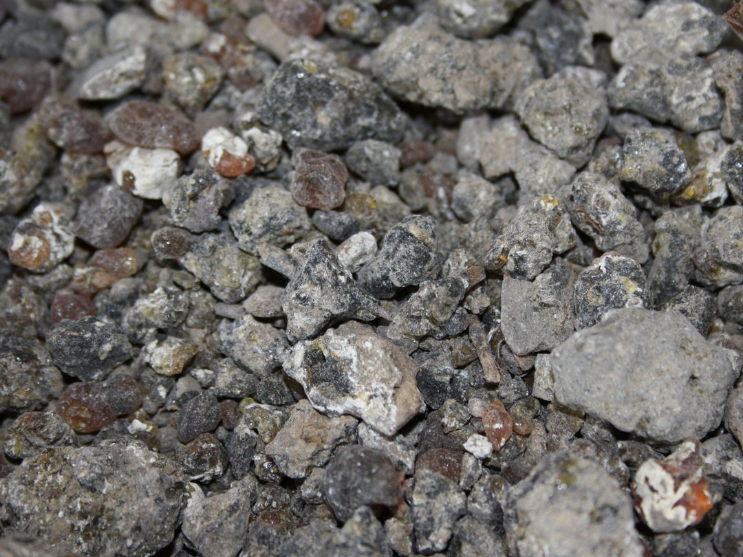Palo Santo Harz - Bursera graveolens