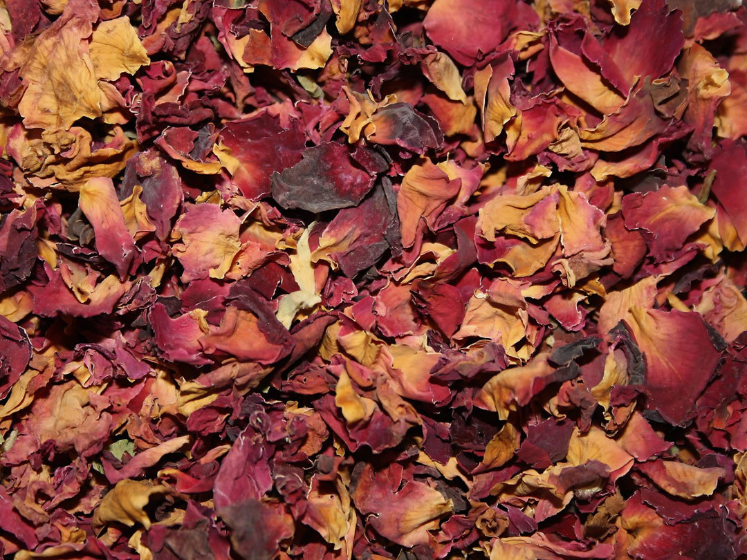 Rosenblüten - Rosa damascena