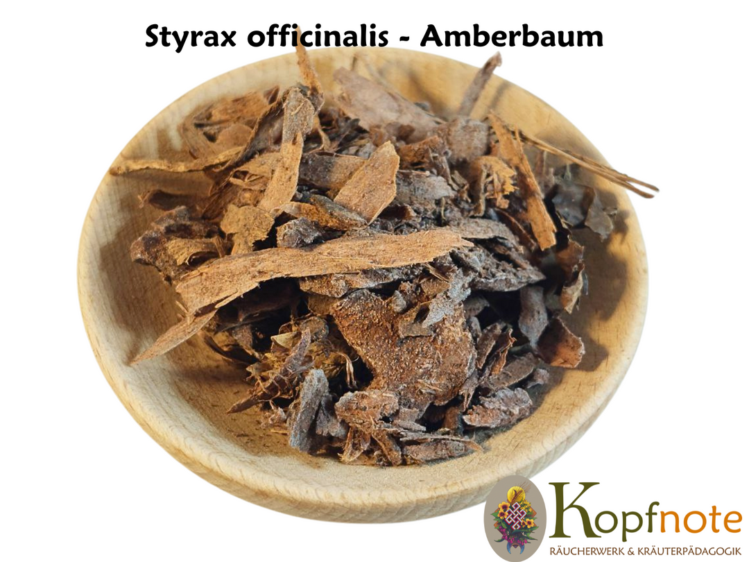 Amberbaum - Styrax officinalis