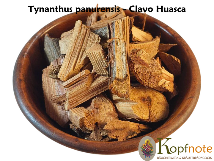 Clavo Huasca - Tynanthus panurensis