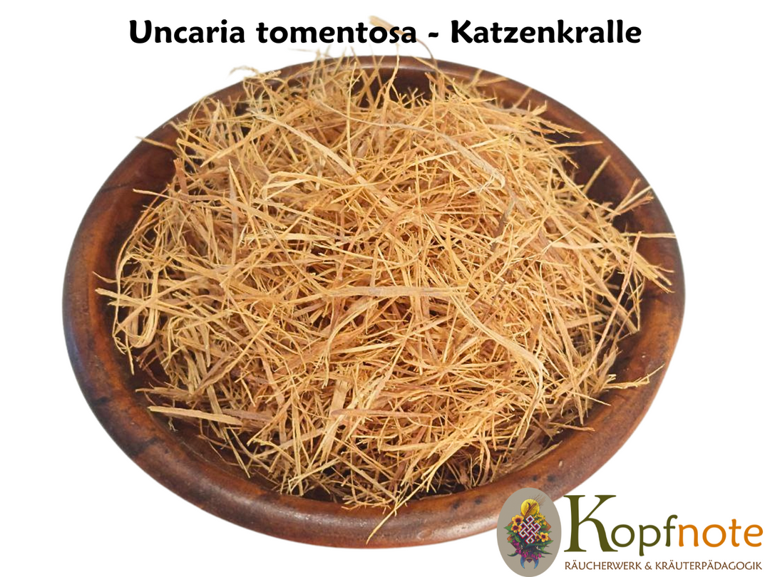 Katzenkralle - Uncaria tomentosa