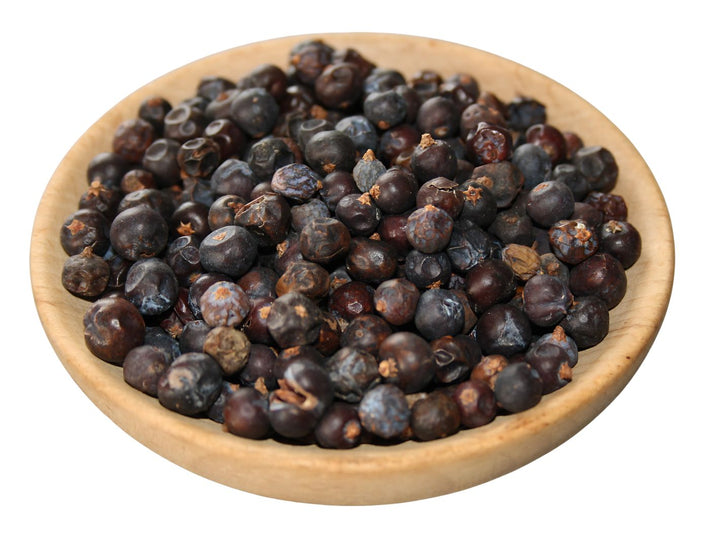 Wacholderbeeren - Juniperus communis