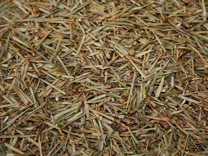 Wacholderspitzen - Juniperus communis