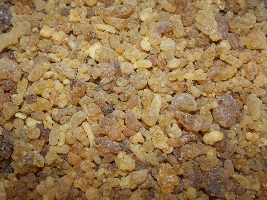 Weihrauch Äthiopien - Boswellia papyrifera