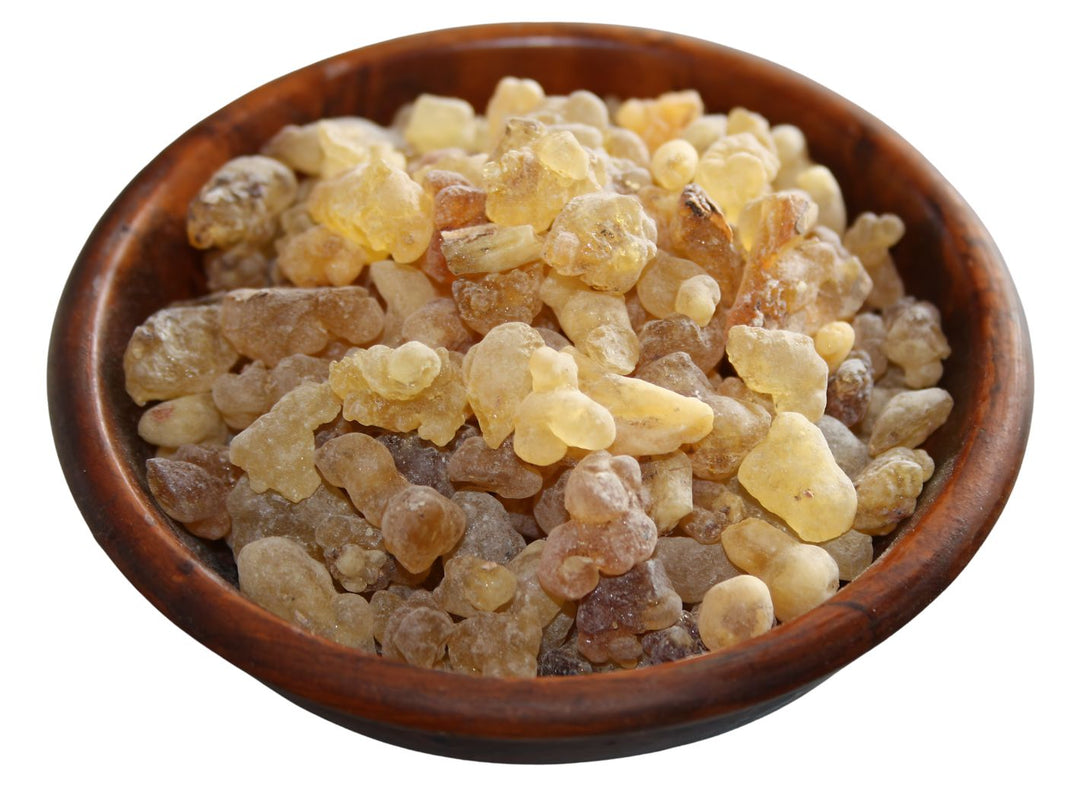 Weihrauch Äthiopien - Boswellia papyrifera