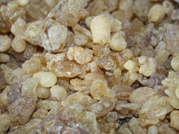 Weihrauch Somalia - Boswellia carterii